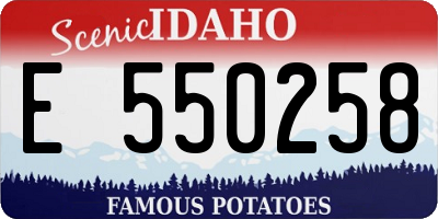 ID license plate E550258