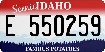 ID license plate E550259