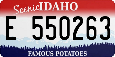 ID license plate E550263