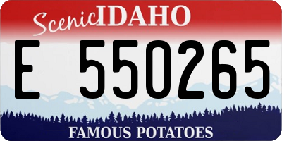 ID license plate E550265