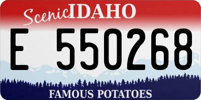 ID license plate E550268