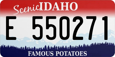 ID license plate E550271