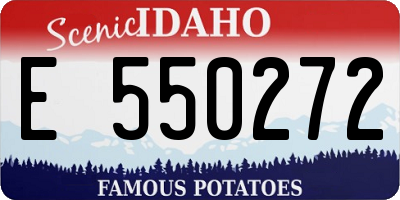 ID license plate E550272