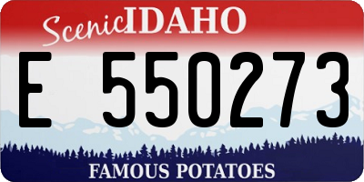 ID license plate E550273