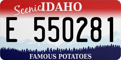 ID license plate E550281