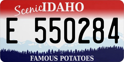 ID license plate E550284