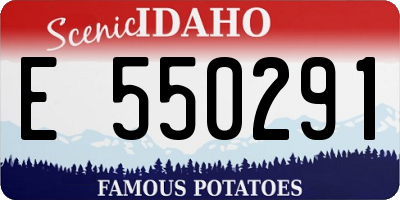 ID license plate E550291