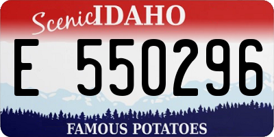 ID license plate E550296