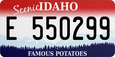 ID license plate E550299