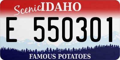 ID license plate E550301