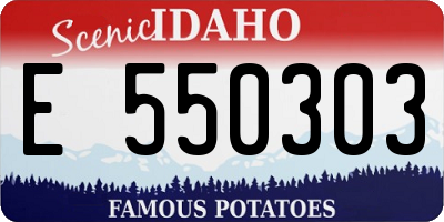 ID license plate E550303