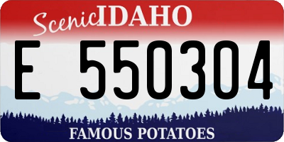 ID license plate E550304