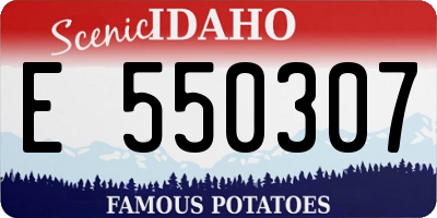 ID license plate E550307