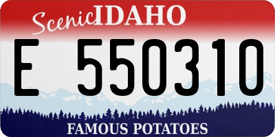 ID license plate E550310