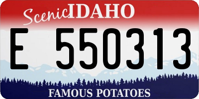 ID license plate E550313