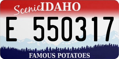 ID license plate E550317