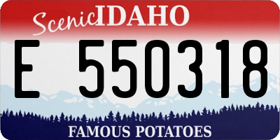 ID license plate E550318