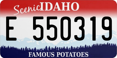 ID license plate E550319