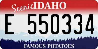 ID license plate E550334
