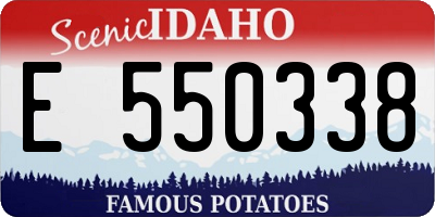 ID license plate E550338