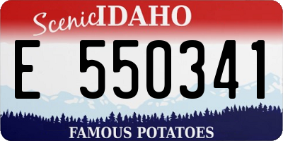 ID license plate E550341