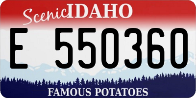 ID license plate E550360