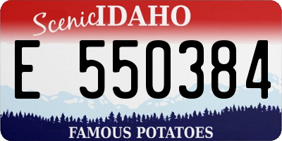 ID license plate E550384