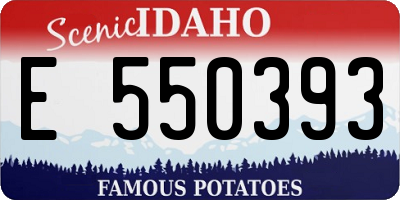 ID license plate E550393