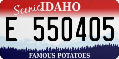 ID license plate E550405