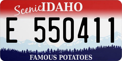 ID license plate E550411