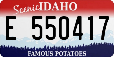 ID license plate E550417