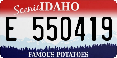 ID license plate E550419