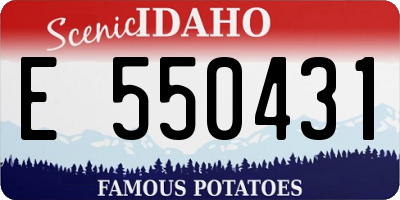 ID license plate E550431