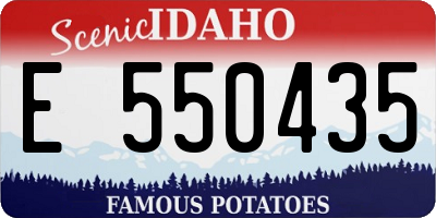 ID license plate E550435