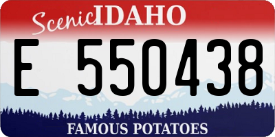 ID license plate E550438