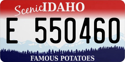 ID license plate E550460