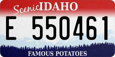 ID license plate E550461