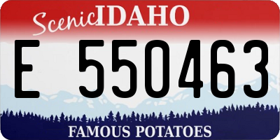 ID license plate E550463