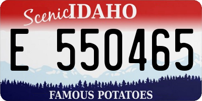 ID license plate E550465