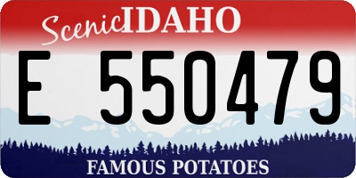 ID license plate E550479