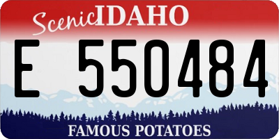 ID license plate E550484