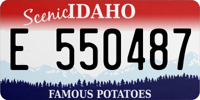 ID license plate E550487