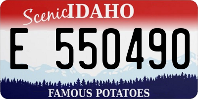 ID license plate E550490