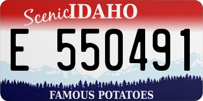 ID license plate E550491