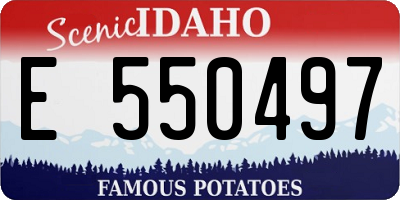 ID license plate E550497