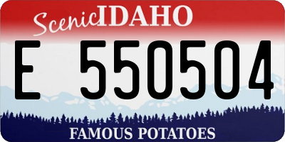 ID license plate E550504