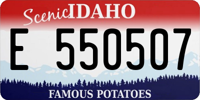 ID license plate E550507