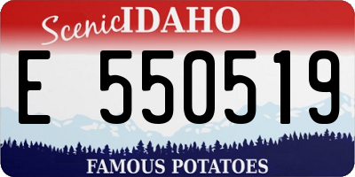 ID license plate E550519