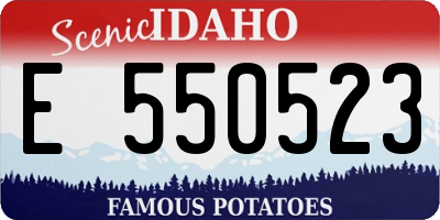 ID license plate E550523
