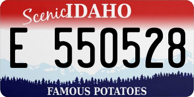 ID license plate E550528